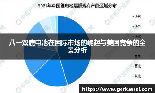 八一双鹿电池在国际市场的崛起与美国竞争的全景分析